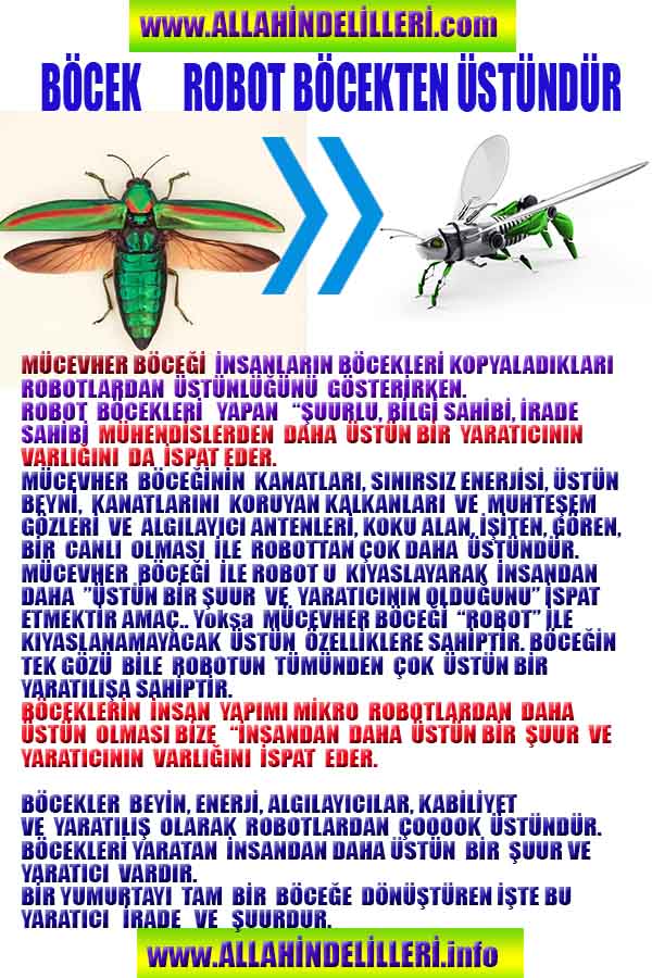 allahin varliginin delilleri, allahin delilleri, allah-delilleri, allah delil, allah var delilleri