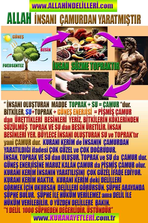 allahin varliginin delilleri, allahin delilleri, allah-delilleri, allah delil, allah var delilleri