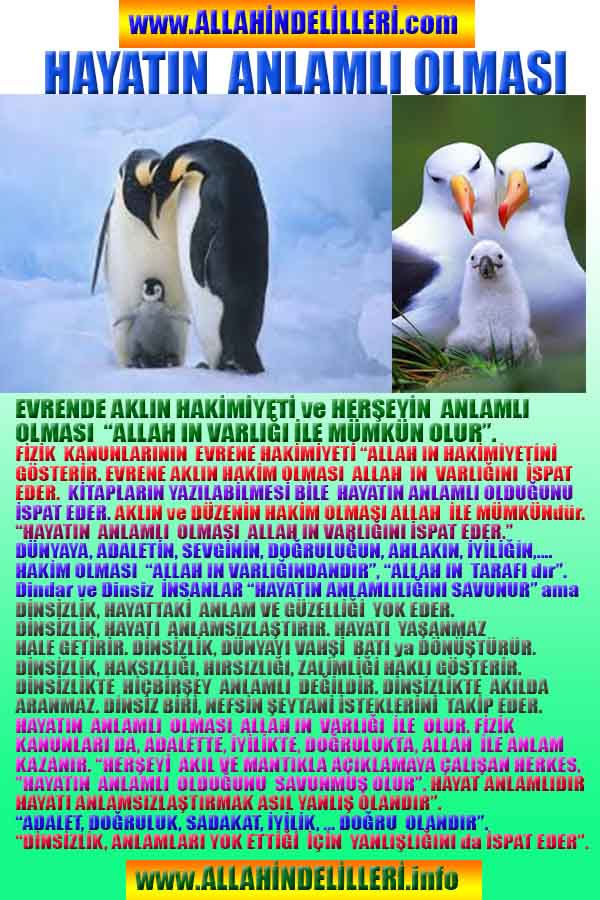 allahin varliginin delilleri, allahin delilleri, allah-delilleri, allah delil, allah var delilleri